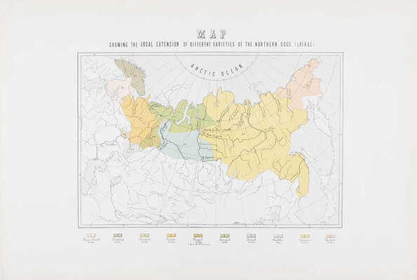 [Ширинский-Шихматов А. Альбом северных собак (лаек). С приложением таблиц измерений черепов и живых экземпляров. Вып. I [и ед.]. а) Карельские лайки. б) Зырянские лайки. / Предисл. Л. Сабанеева; ил. худож. А. Степанова. М.: Фототип. Шерер, Набгольц и Ко, 1896].